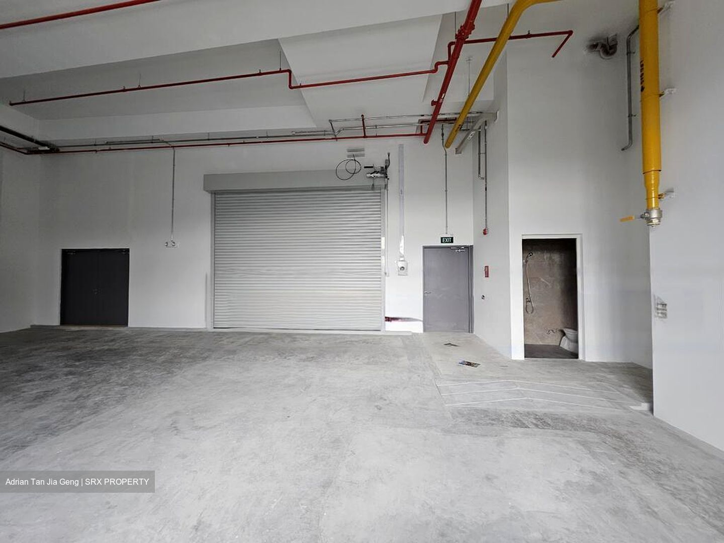 Ct Foodnex (D25), Factory #480263751